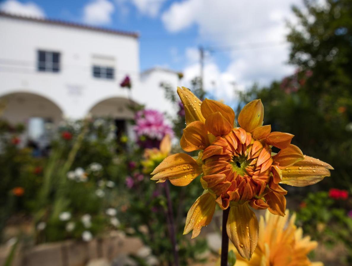 Residencia Quinta Do Poco Guesthouse Sagres Exterior photo